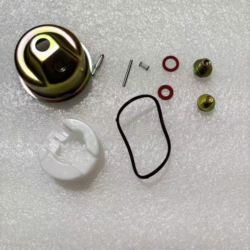 Kit riparazione carburatore - kit,