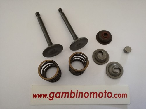 Kit valvole assemblate motore - valvole,