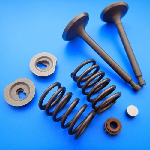 Exhaust inlet valve kit - &,